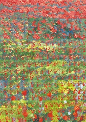Mohnblumen, 2012